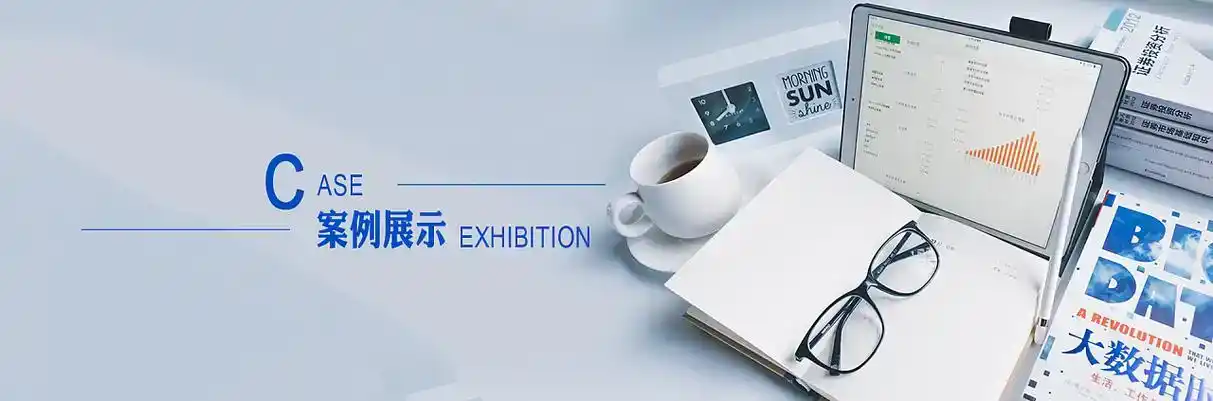 措美县软件开发